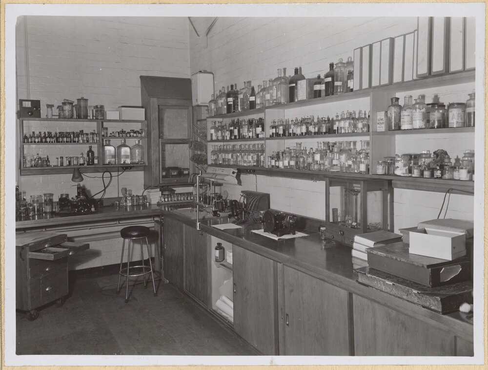 A Corner of one of the Zoological Laboratories