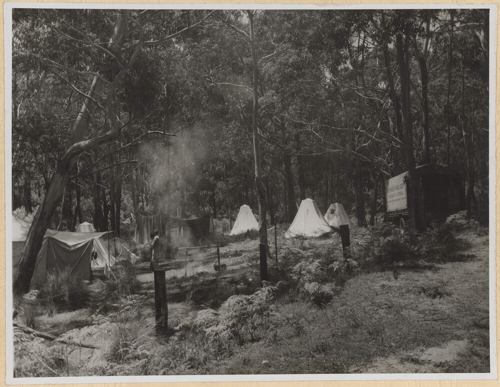 Museum Camp in Otway Forest, Victoria, 1949