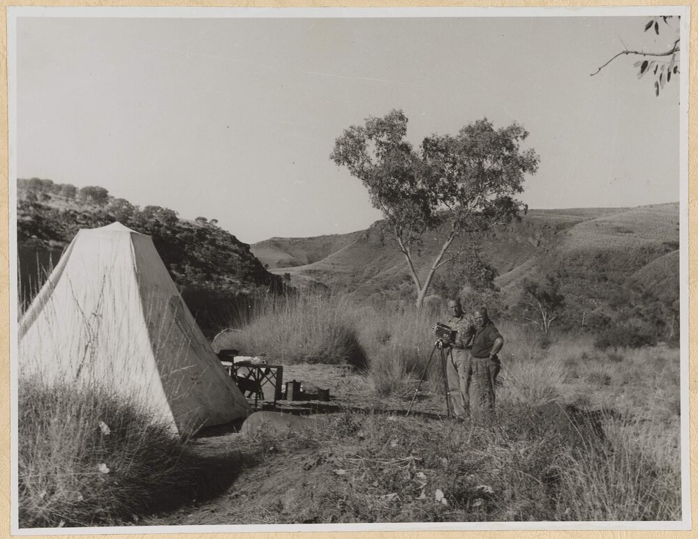 Field Work at Palm Valley, Central Australia, 1949