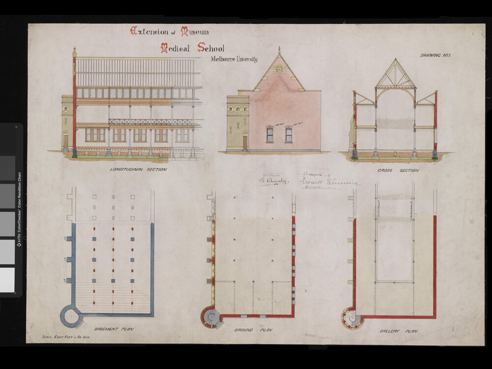 [Medical School] Extension of museum [Plans, basement, ground floor, gallery; longitudinal section, elevation, cross section] [37]