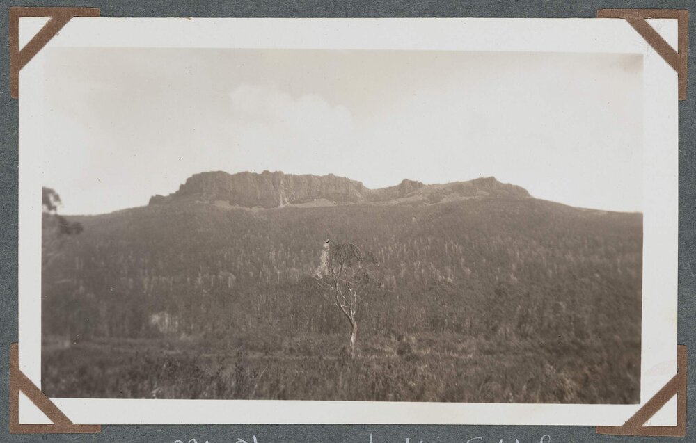 Mt Olympus looking S-W from Narcissus Hut