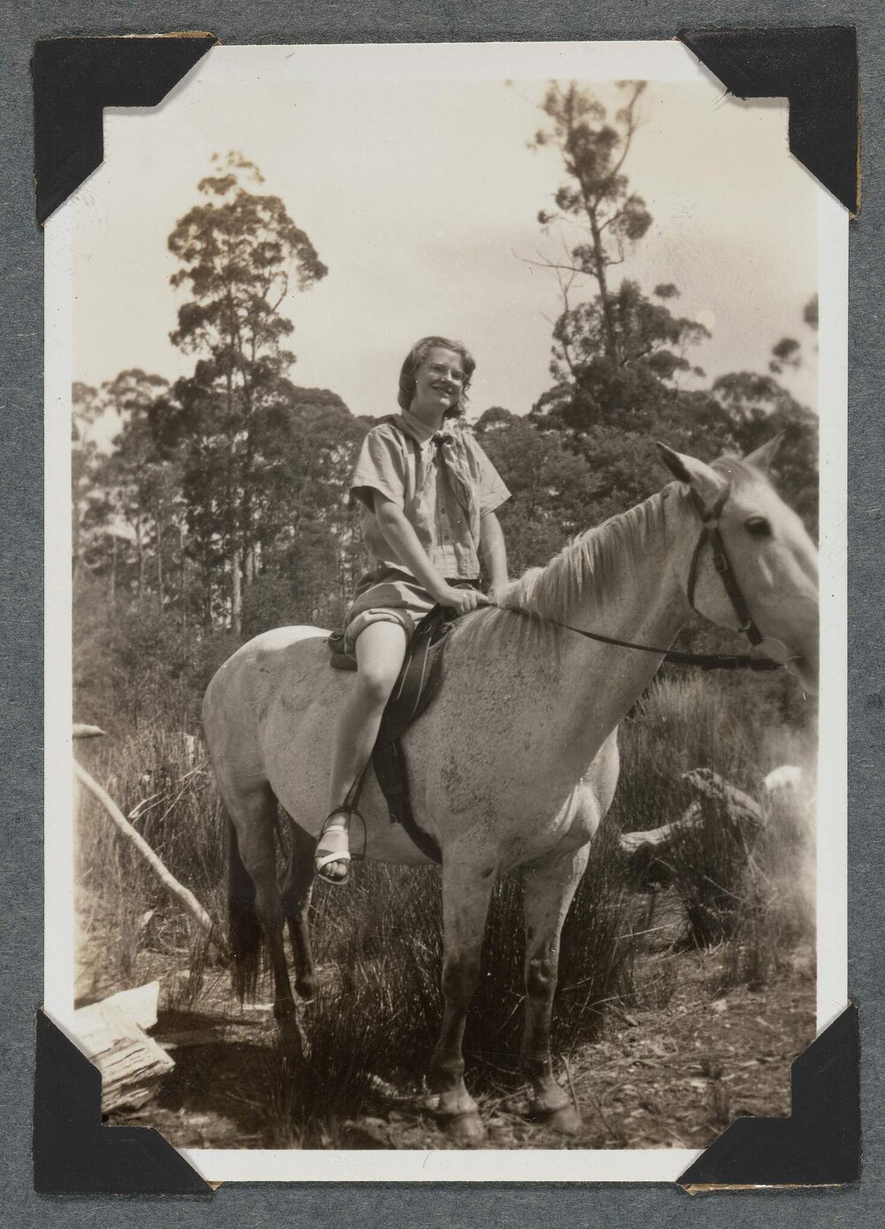 [Mountaineering Club Tasmania trip - woman on horse]