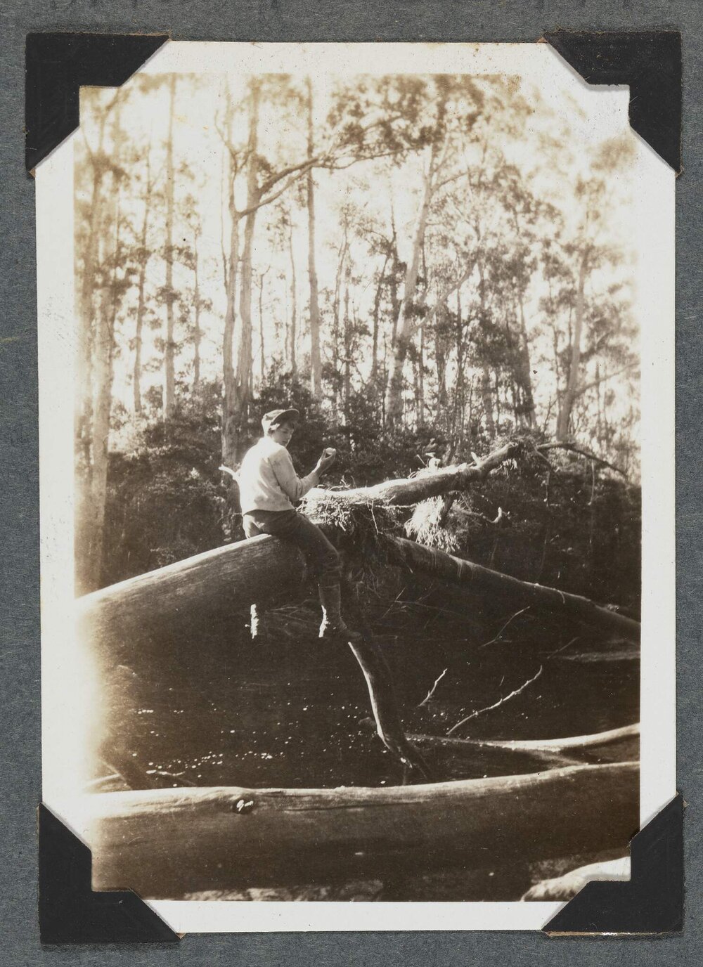 [Mountaineering Club Tasmania man sitting on log]