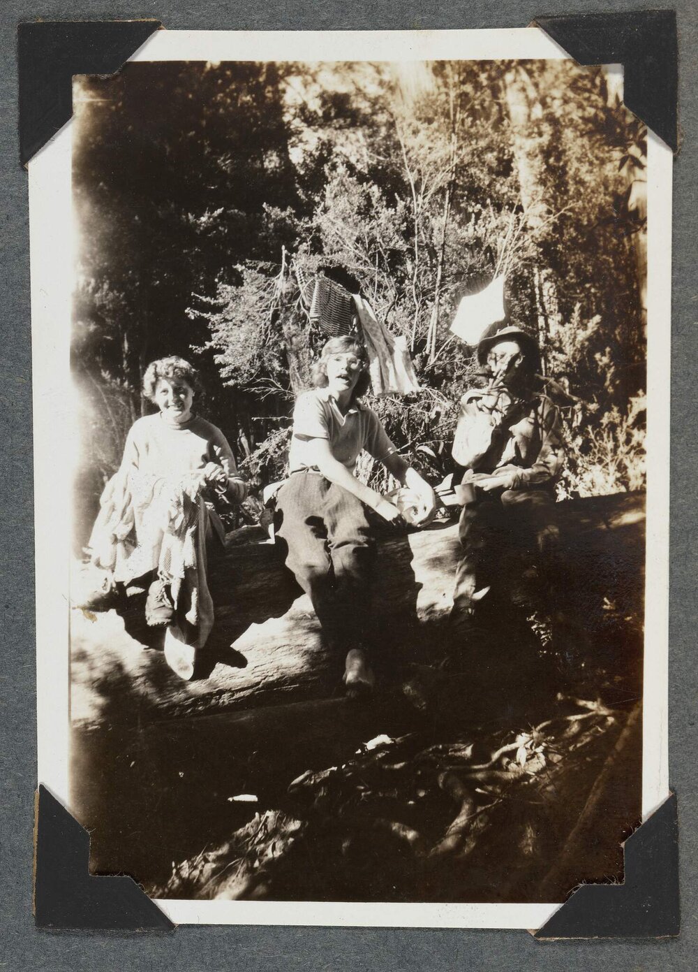 [Mountaineering Club Tasmania people sitting on a log]