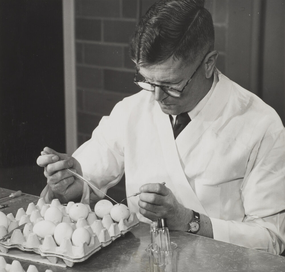 Wisconsin University, 1952