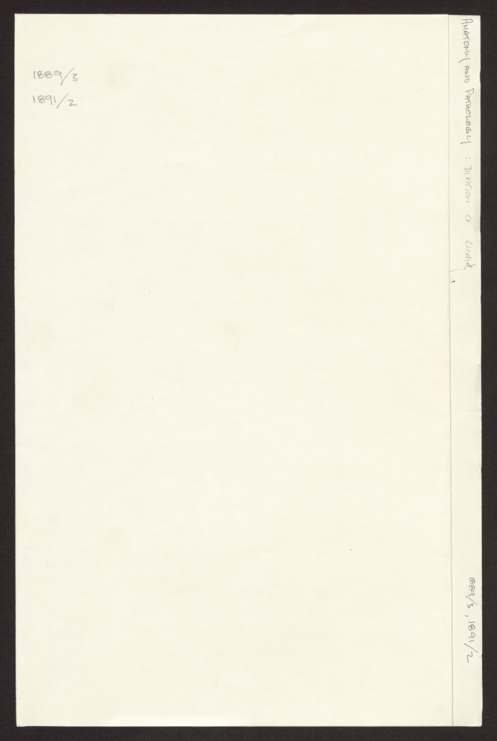 Anatomy and Pathology: Division of Chair