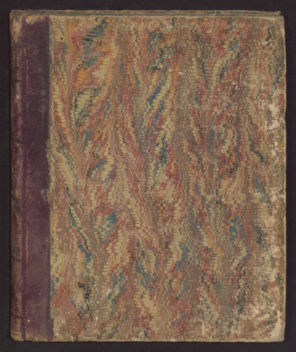 Missionaries Diary Journal: John Ivey, 1867-1870