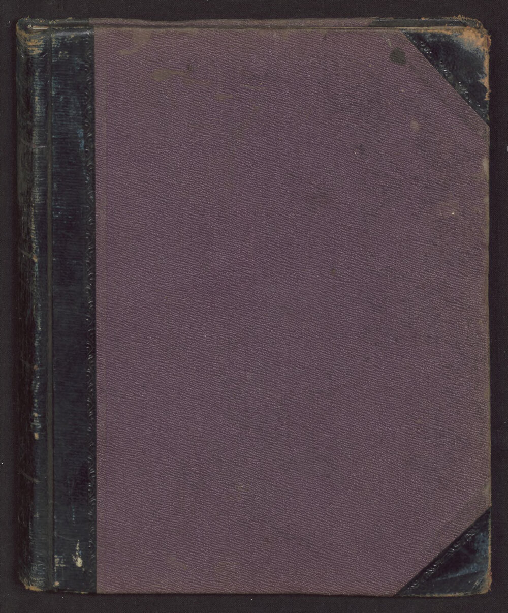 Missionaries Diary Journal: Samuel Stephens