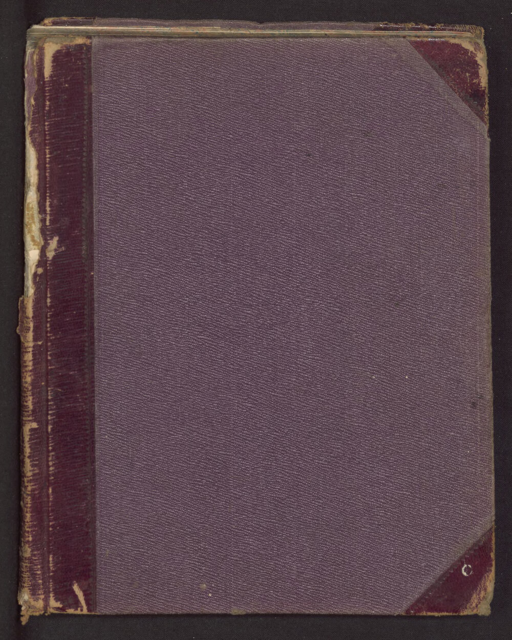 Missionaries Diary Journal: Samuel Stephens