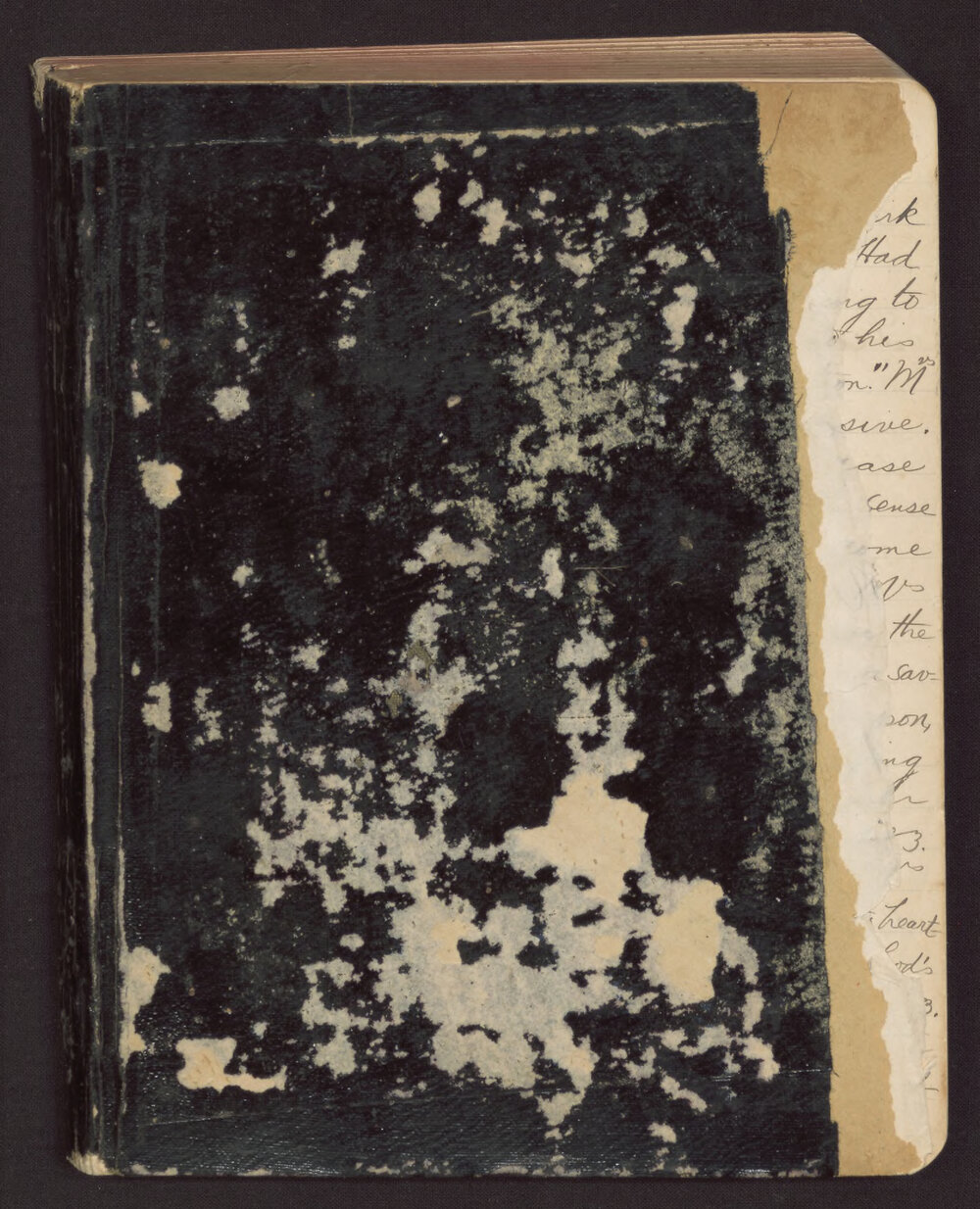 Missionaries Diary Journal District of South Melbourne: William Hall