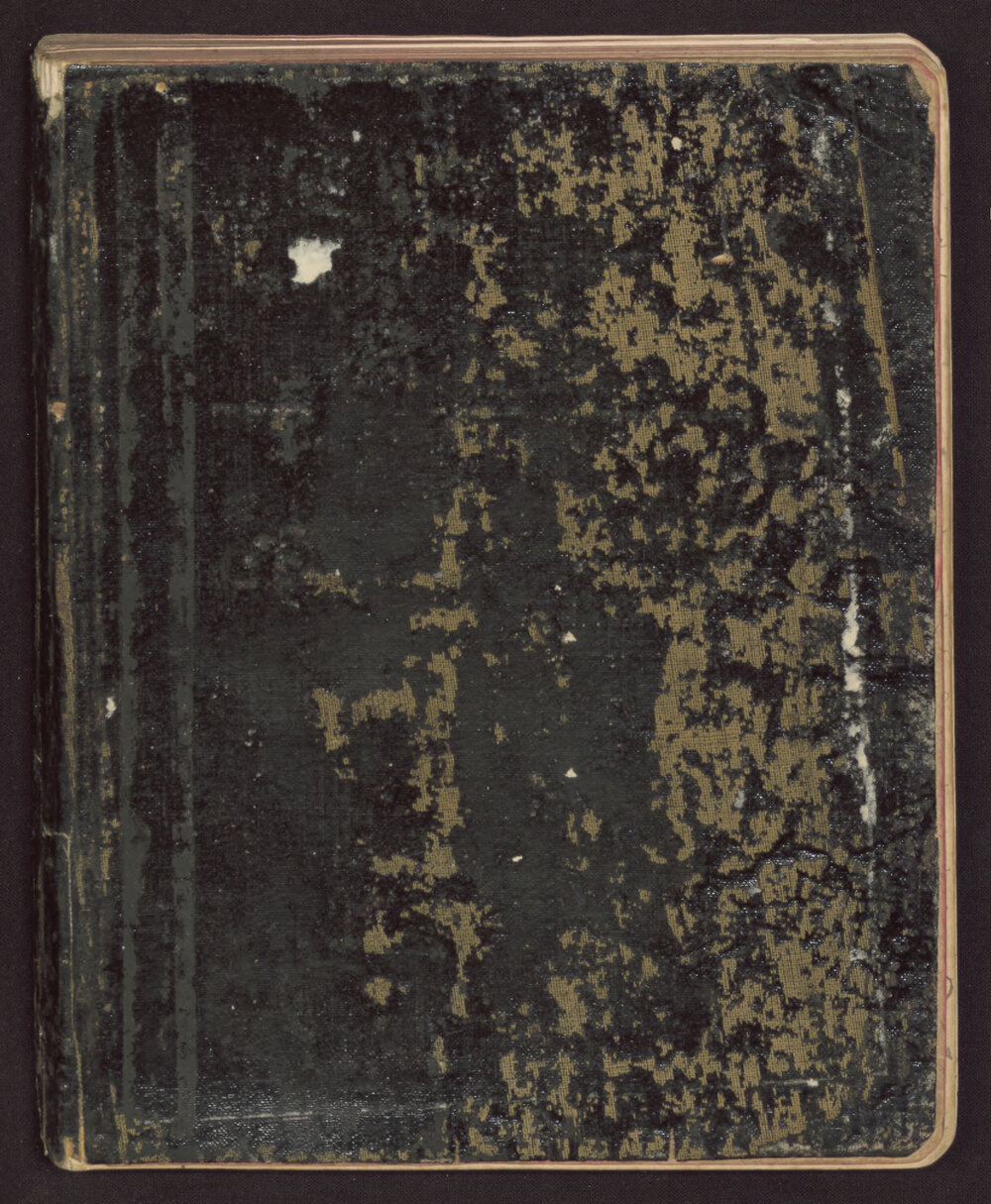 Missionaries Diary Journal District of South Melbourne: William Hall