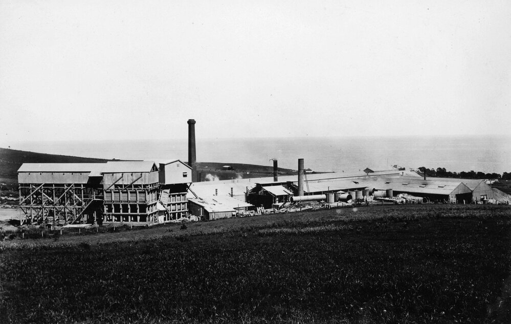 Construction of Maria Island cement works, Tasmania