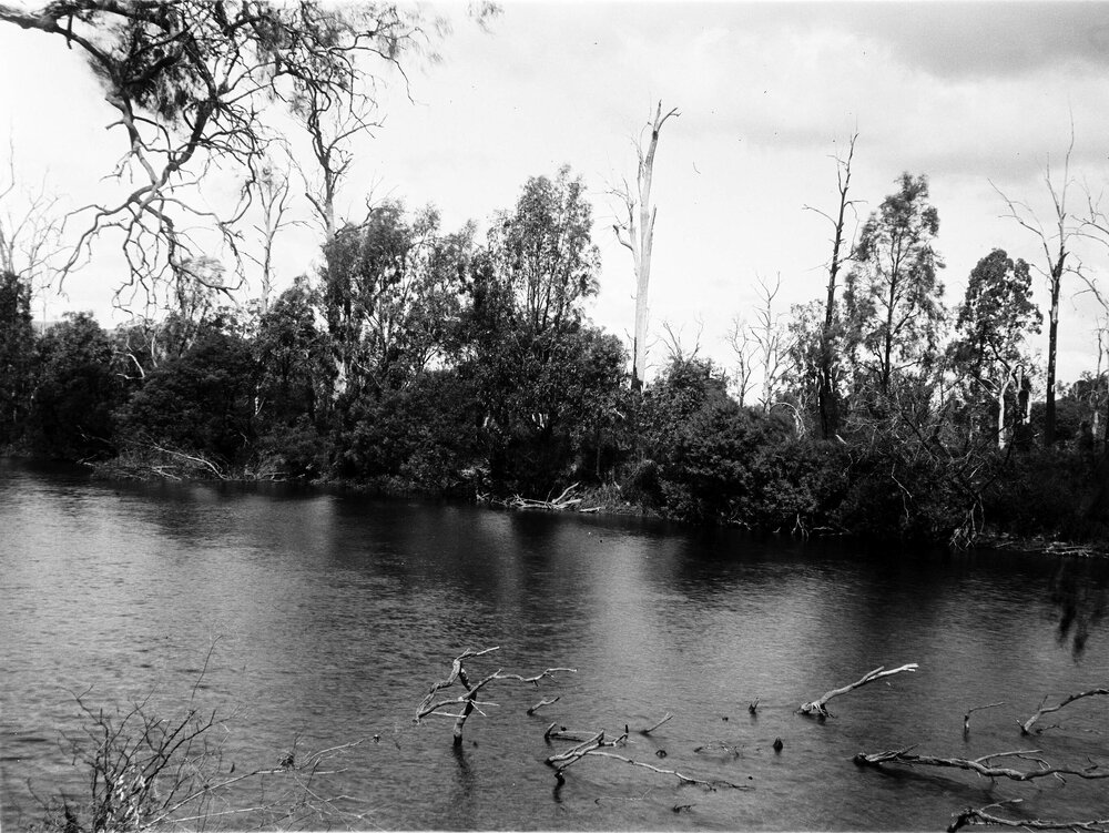 Cremona Bridge site