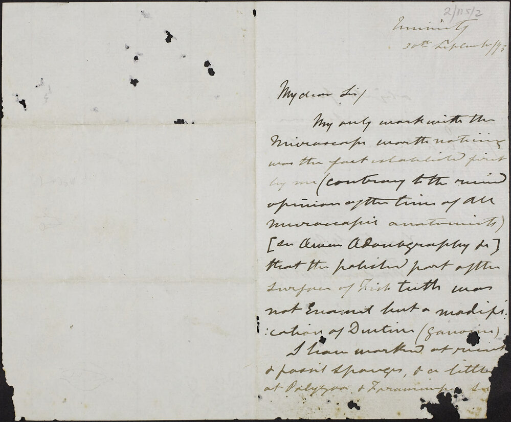 McCOY, Frederick, University.