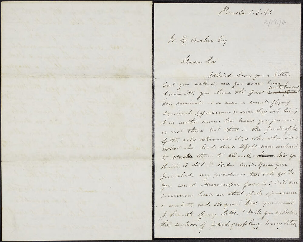 TENISON-WOODS, Fr Julian, Penola.