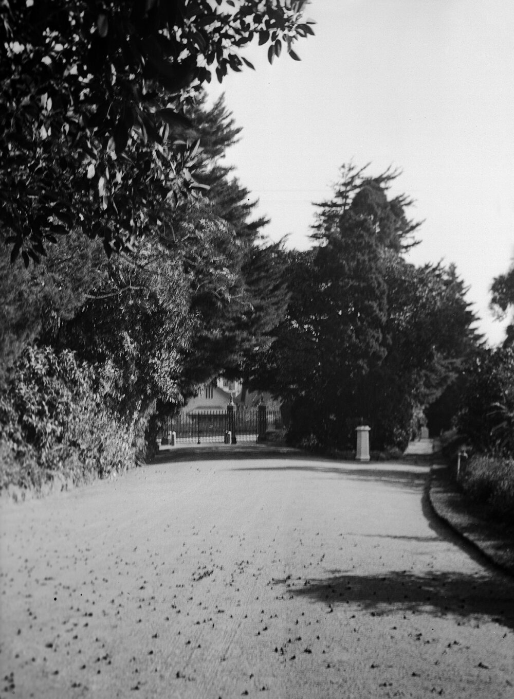 Como, South Yarra- garden and pathway to main entrance