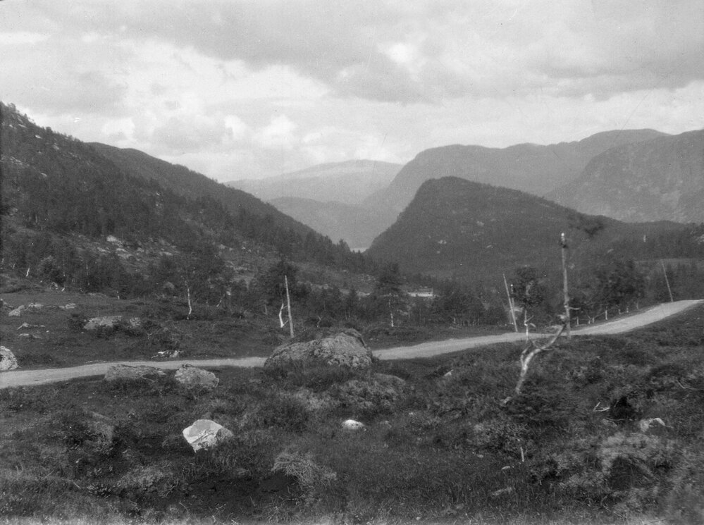 Unknown scene of a country road