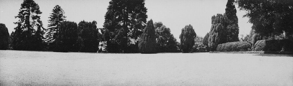 ['Delgany']