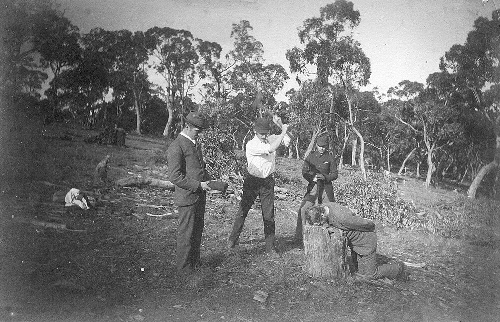 Holm Park, Beaconsfield, Victoria.