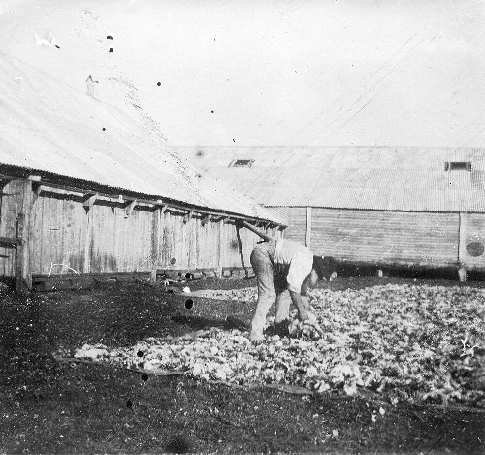 Fulham, Balmoral, Victoria.