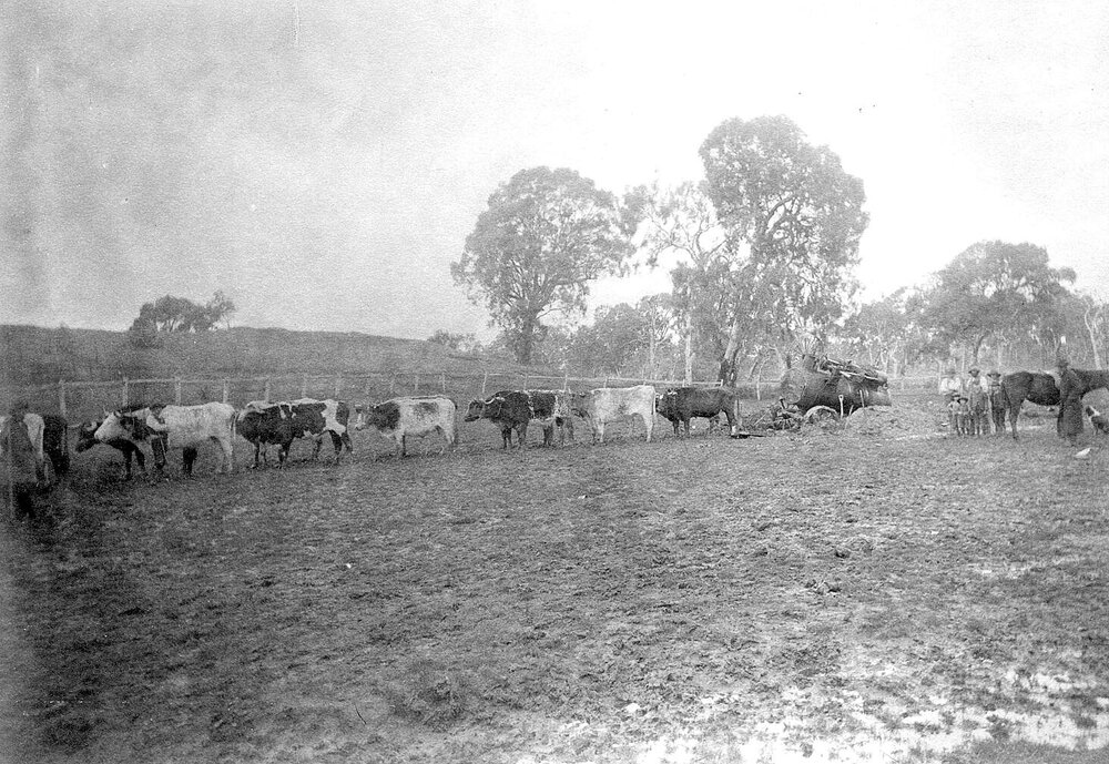 Fulham, Balmoral, Victoria.