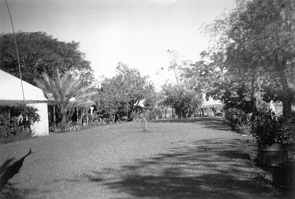 "Afton Downs", Queensland