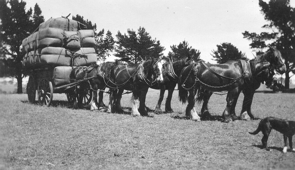 Conveyances of the past.