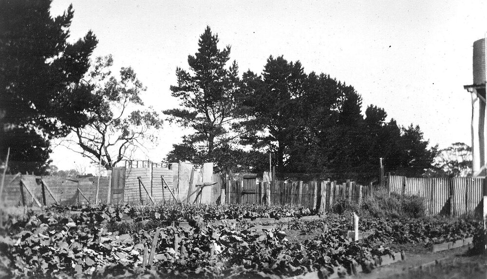 Wando, Casterton, Victoria.