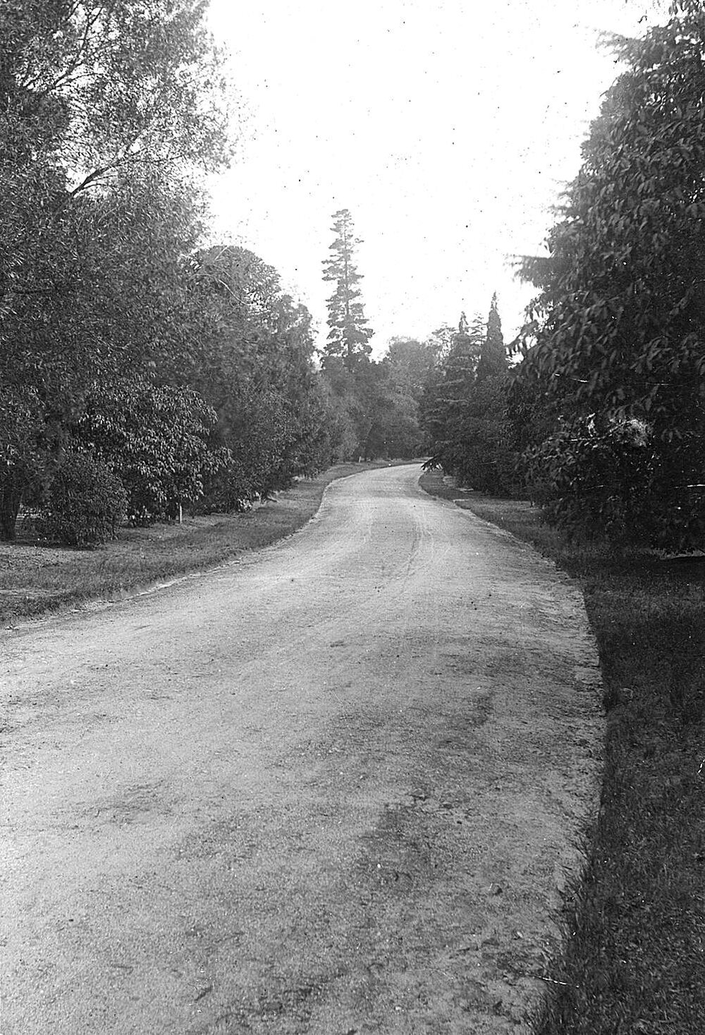 "Como" Toorak Rd, South Yarra.