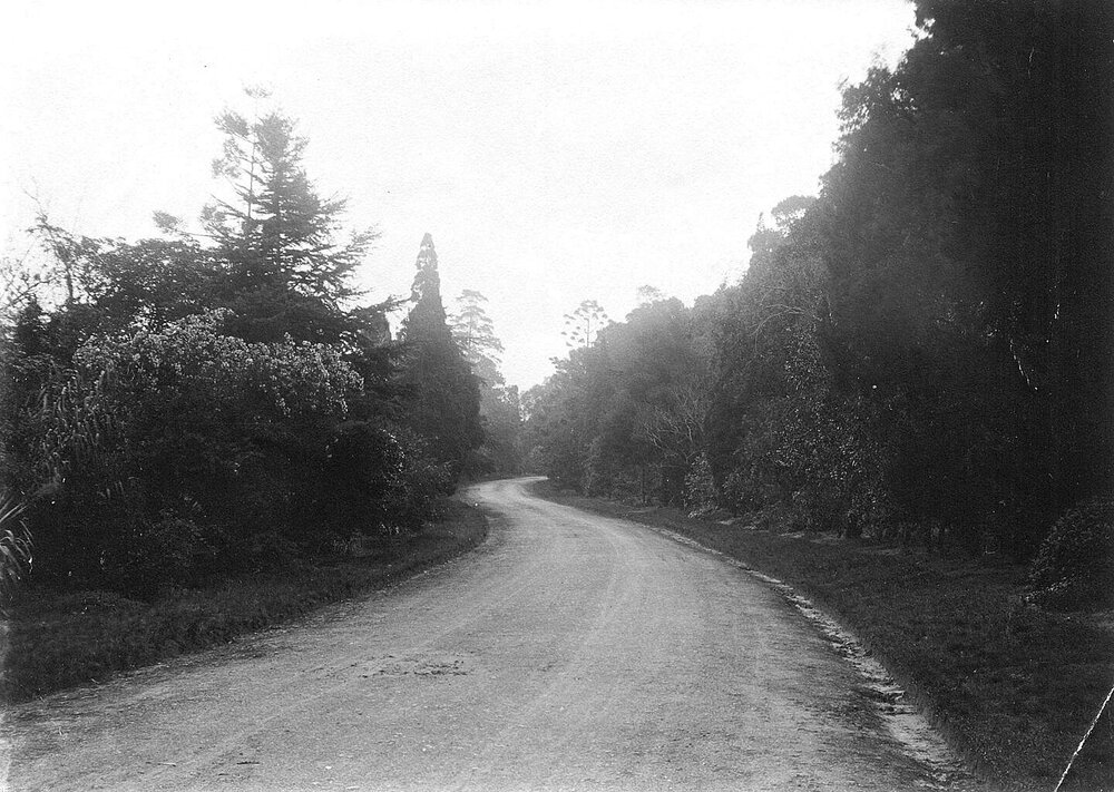 "Como" Toorak Rd, South Yarra.