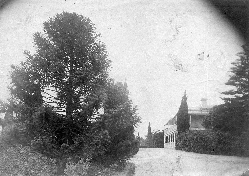 "Como" Toorak Rd, South Yarra.