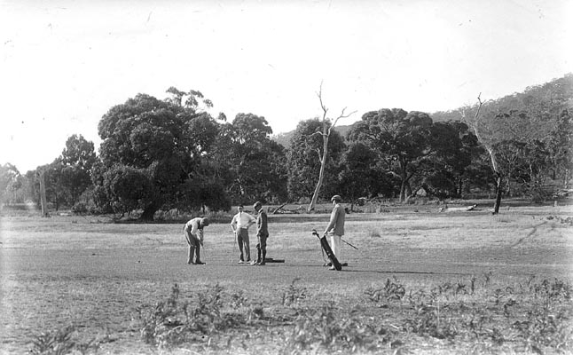 Men playing golf