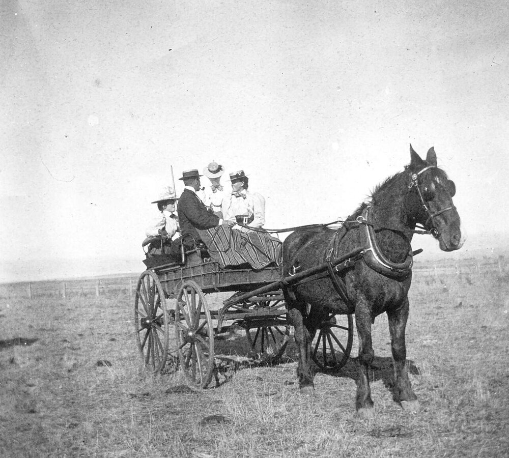 Group seated on horse drawn buggy