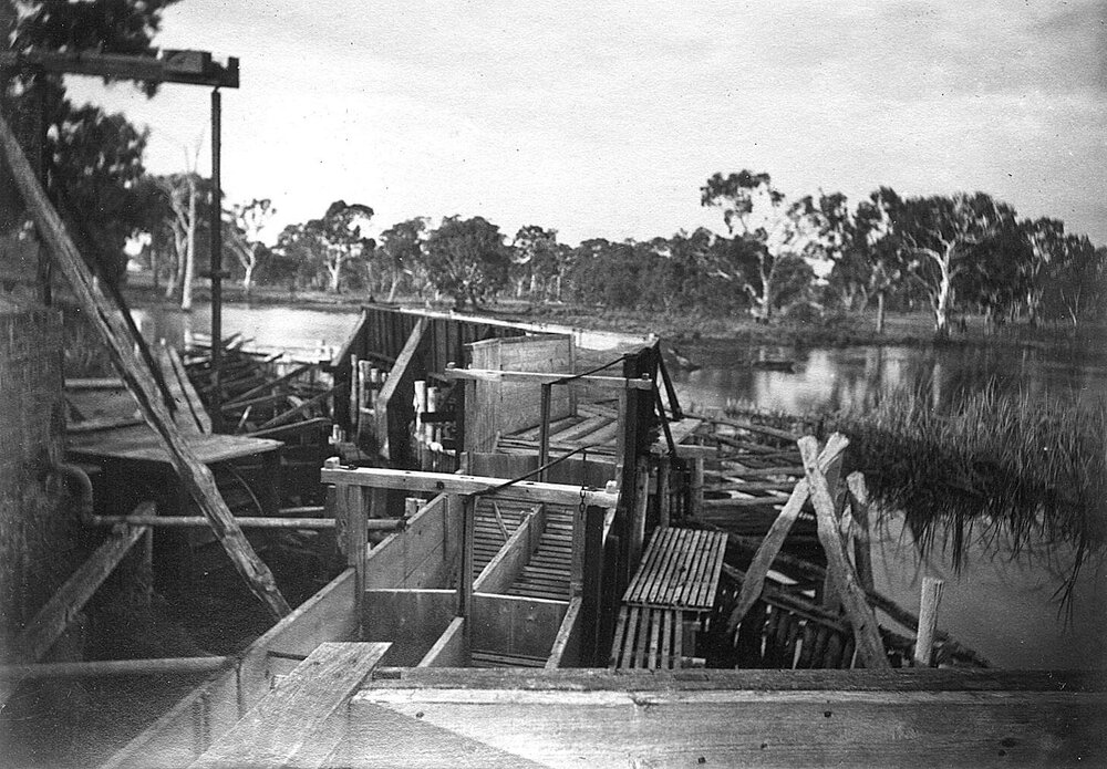 Sheep wash at Fulham