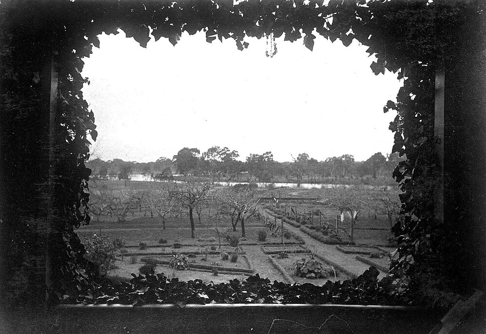 Ivy framed view of garden and orchard