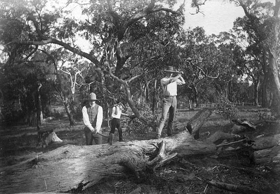 Tableaux of three men with axes and a fallen tree
