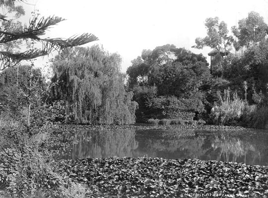 Southerly View of Lake &amp; Mound, Rippon Lea