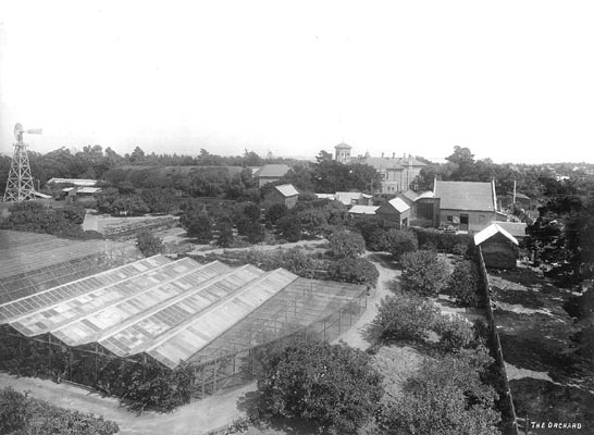 The Orchard, Rippon Lea