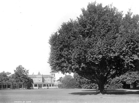 Looking Up Lawn, Rippon Lea