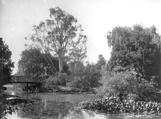 The Lake - An Old Friend, Rippon Lea