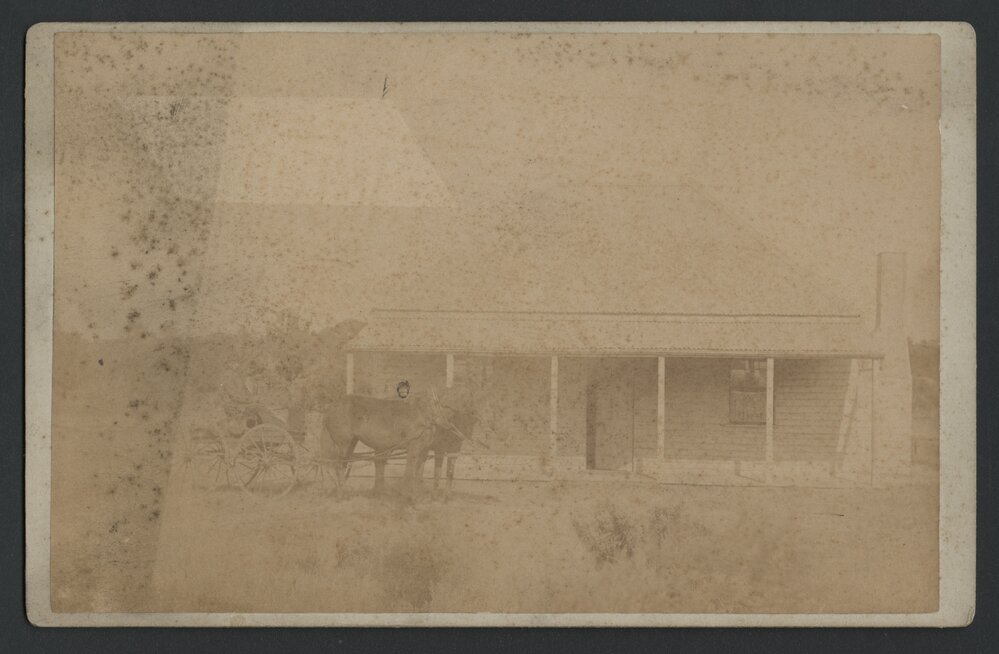 Horse and buggy outside Gol Gol Homestead