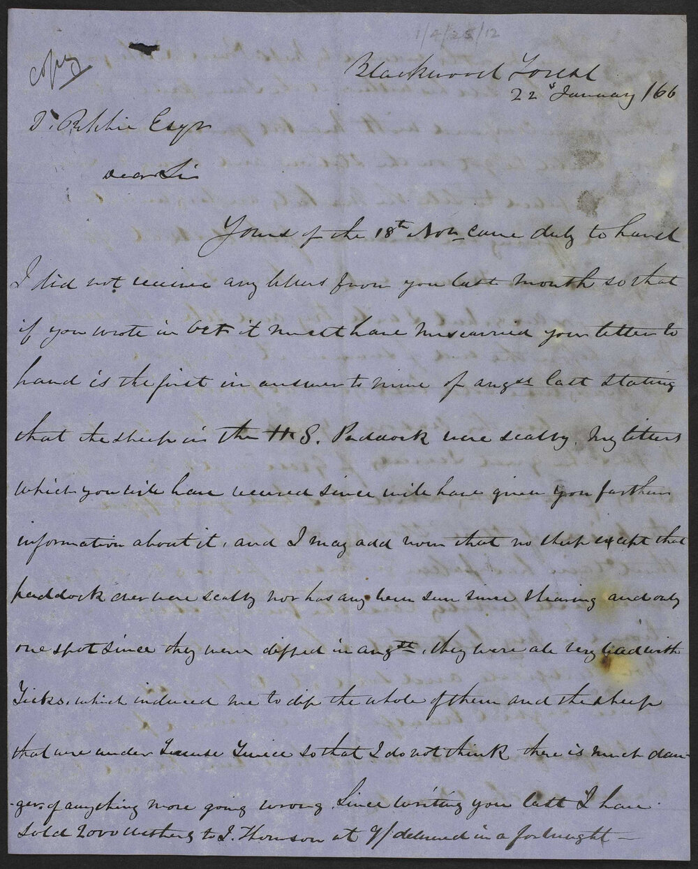 Correspondence between John Ritchie at Blackwood and Daniel Ritchie after his departure for Scotland Last letter from Daniel, 24 November 1865