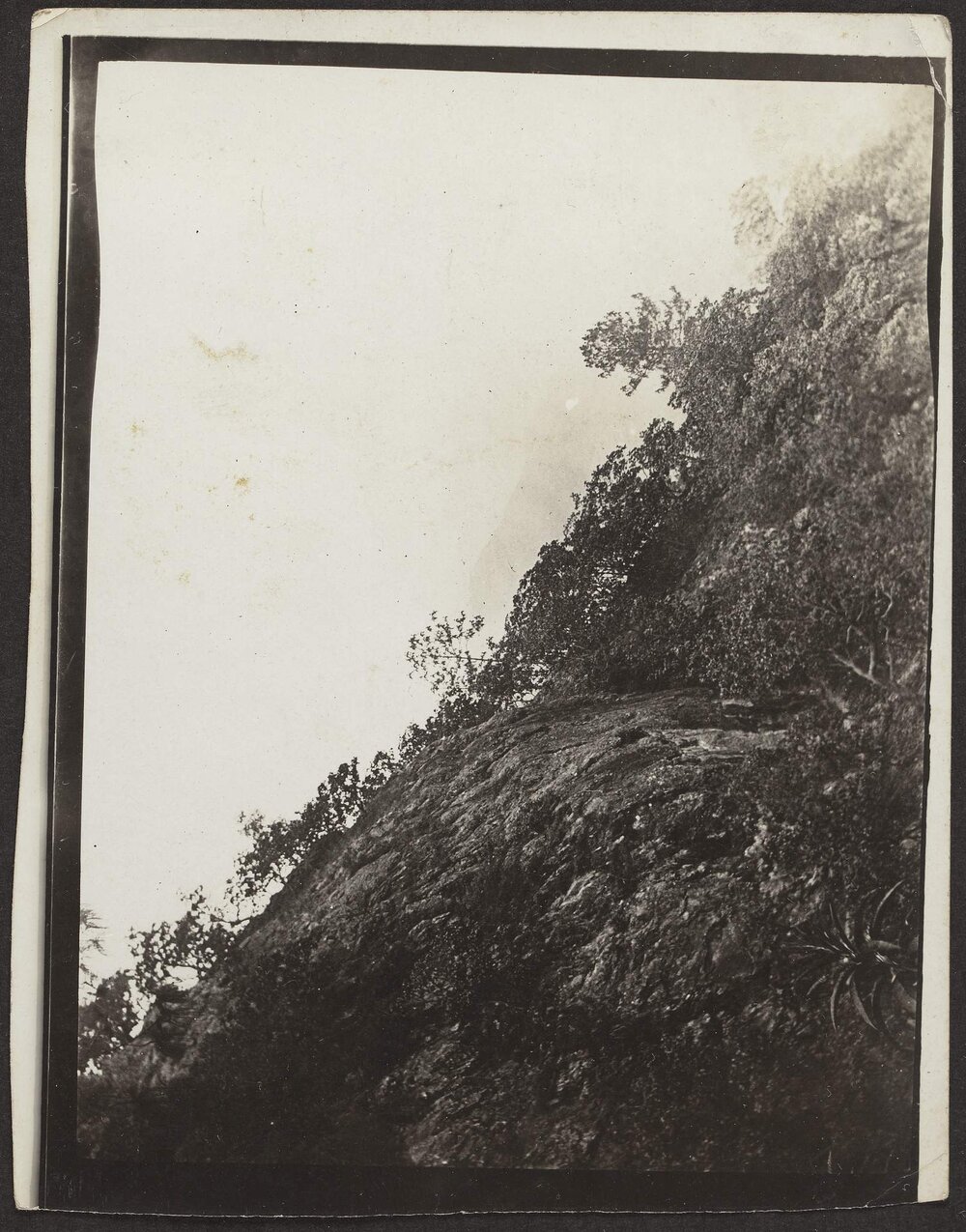 [Photograph in Mexico]
