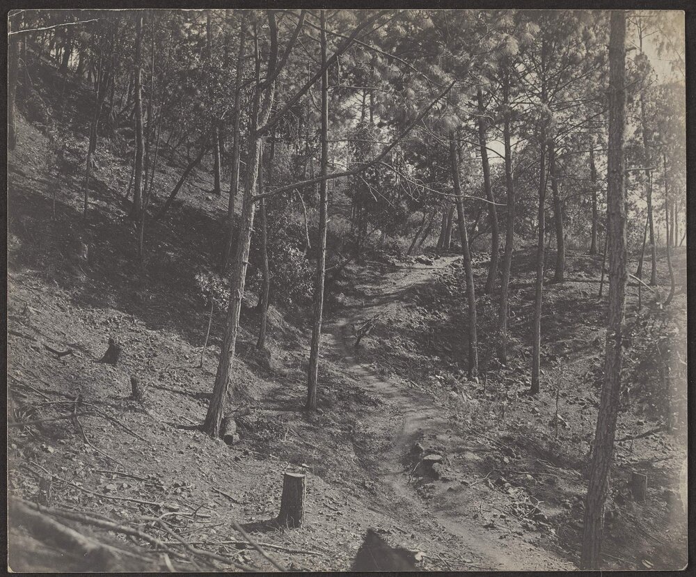 [Photograph in Mexico]