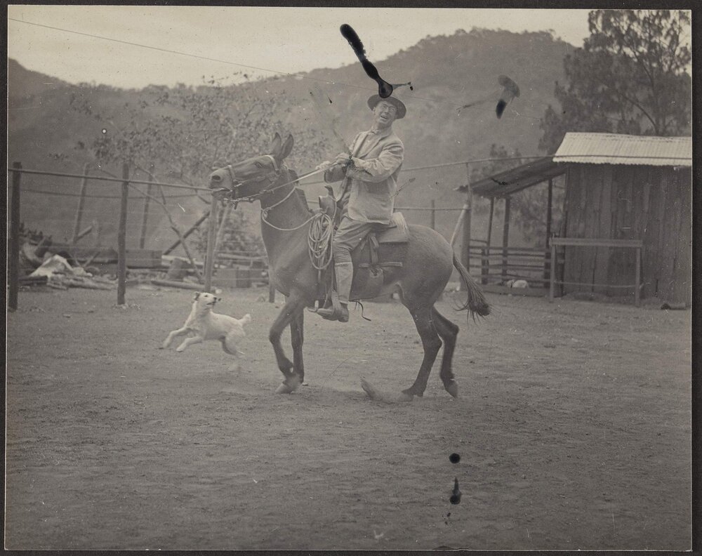 Shera- with a Roosvetian smile