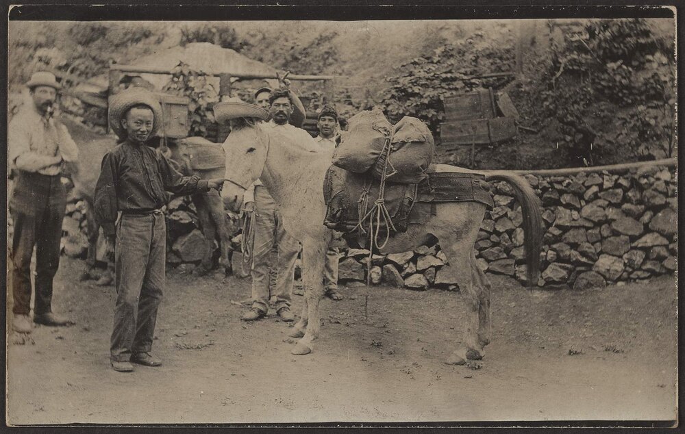 [Photograph in Mexico]