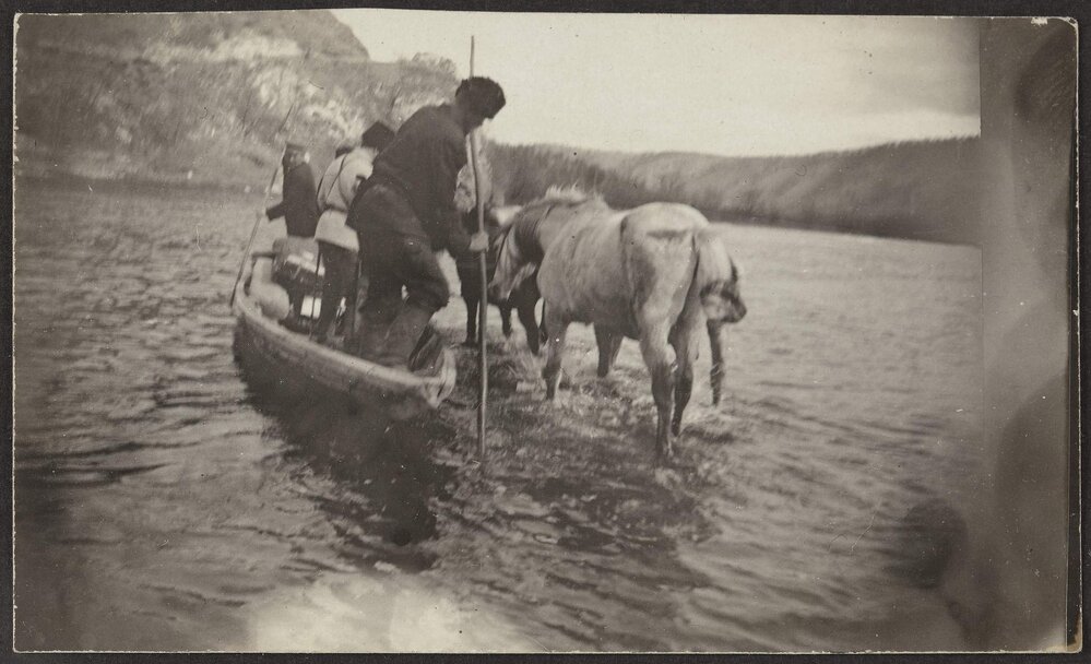 Hunting &amp; gold escort Siberia