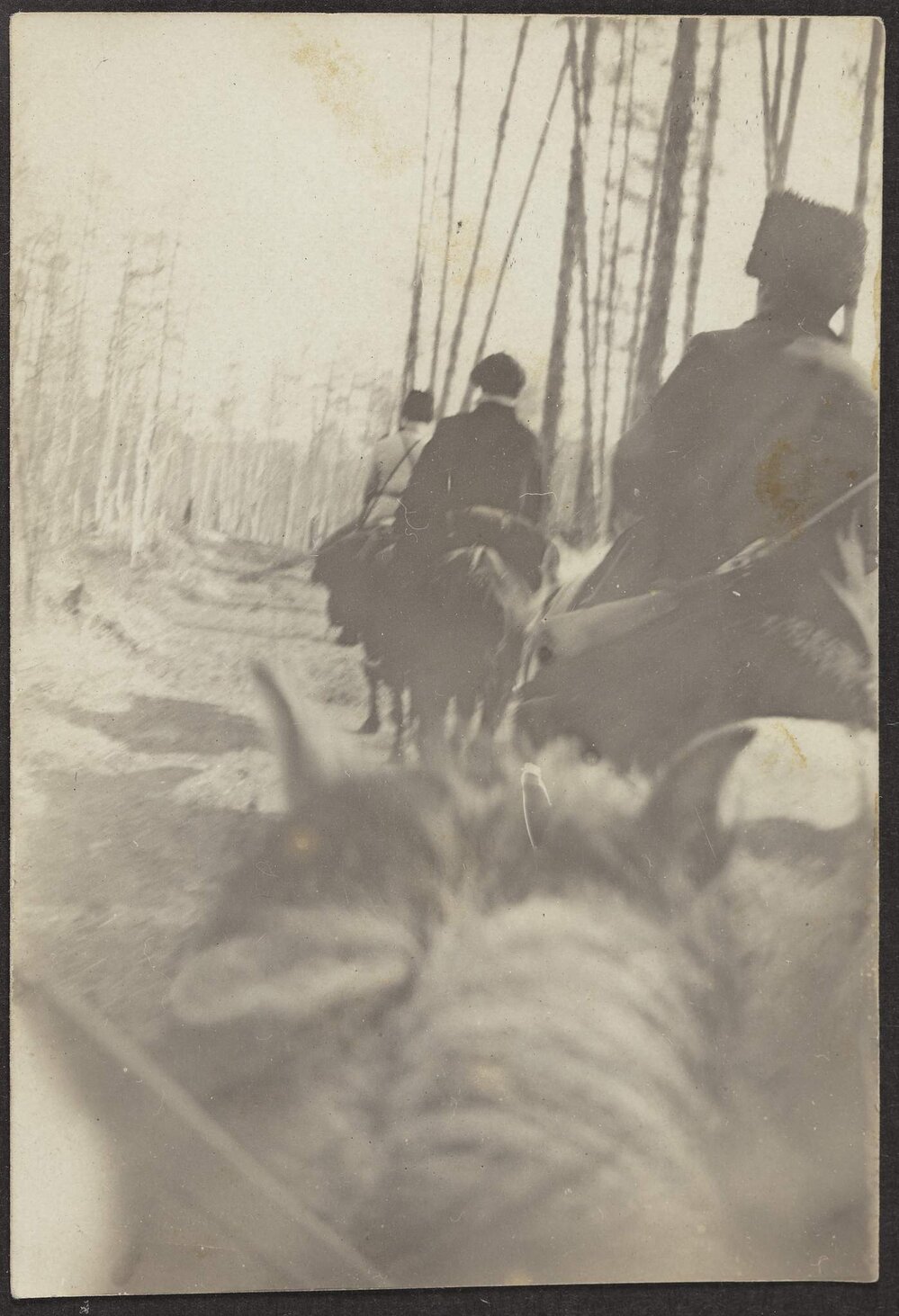 Hunting &amp; gold escort Siberia