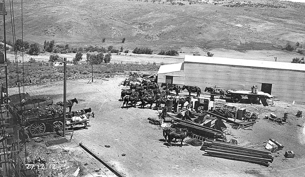 Horses, pipes and drays at the Umberumberka Reservoir construction site, Broken Hill, New South Wales.