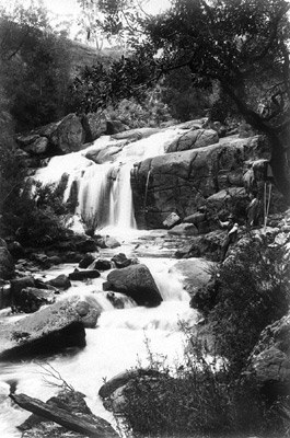 Creek near Ballarat.